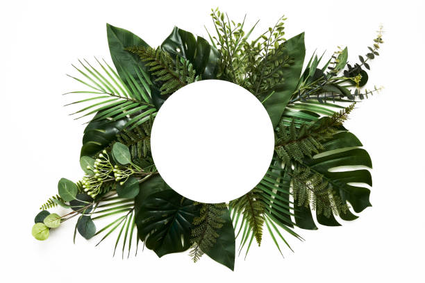 istock Tropical leaves with white copy space background.Nature and summer concepts 1221511127