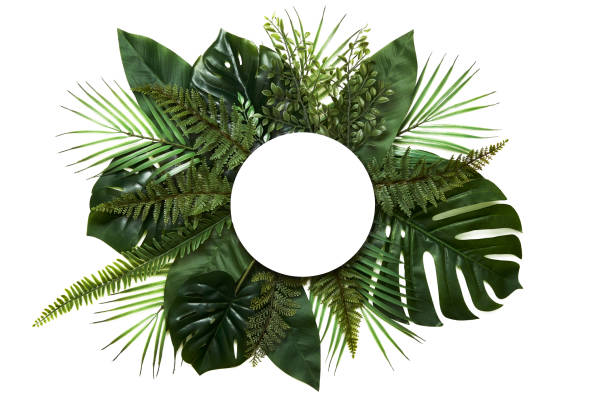 istock Tropical leaves with white copy space background.Nature and summer concepts 1221511134