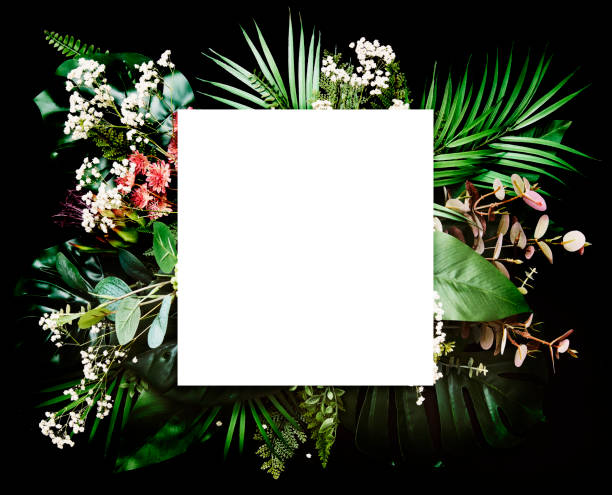 istock Tropical leaves with black copy space background.Nature and summer concepts 1221511146