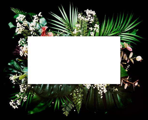 istock Tropical leaves with black copy space background.Nature and summer concepts 1221511147
