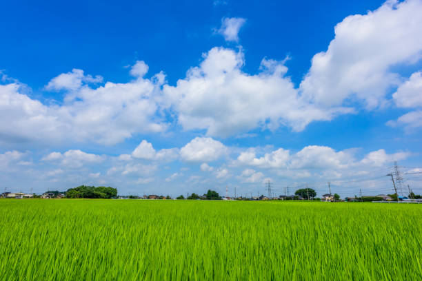 Saitama, Japan.