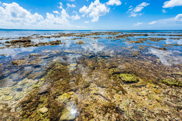 istock Beautiful beach in Okinawa. 1221513087