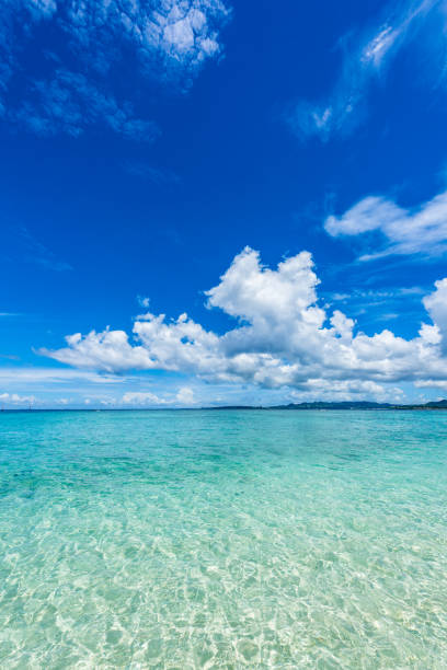 istock Beautiful beach in Okinawa. 1221513988