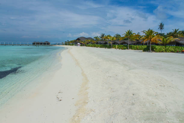 istock Paradise beach with transparent waters in the Maldives 1221518177