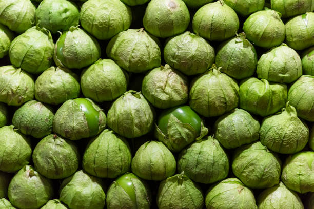 istock raw green tomatoes in the market 1221519694
