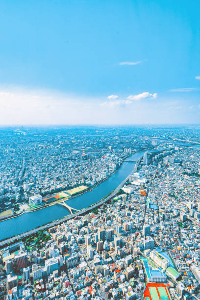 Tokyo skyline from the tower