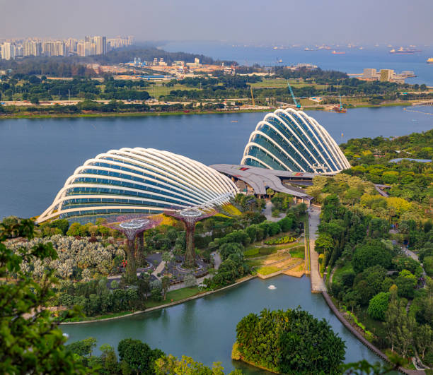 vue aérienne de la forêt nuageuse, du dôme de fleurs et du supertree grove à gardens by the bay, singapour le jour - gardens by the bay photos et images de collection