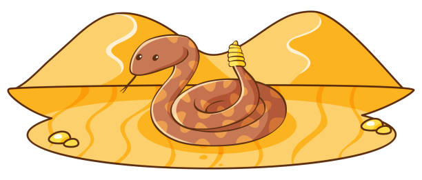 One rattle snake in the desert ground One rattle snake in the desert ground illustration desert snake stock illustrations