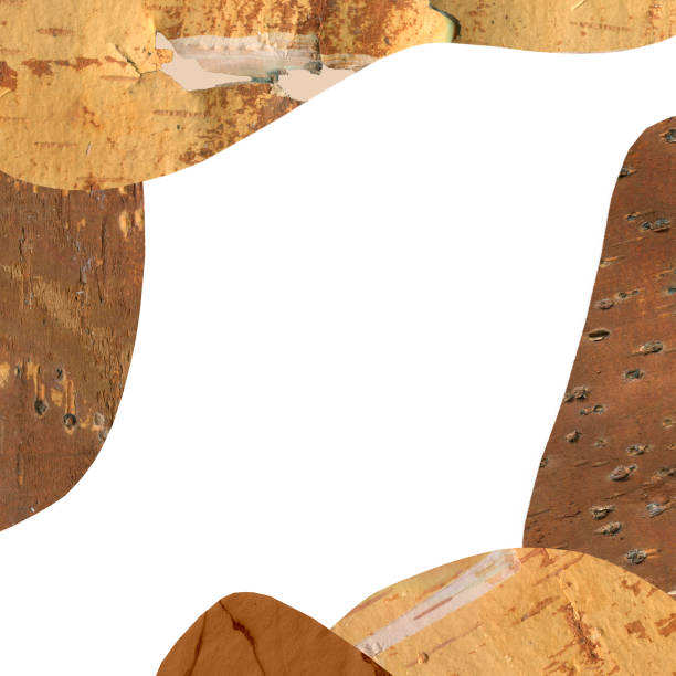 istock Natural wood frame with raw birch textures on white background. 1221528446