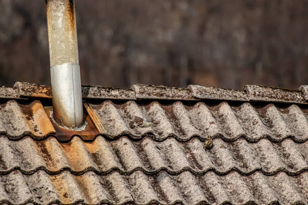 istock House sparrow in flying mode over roof 1221530134