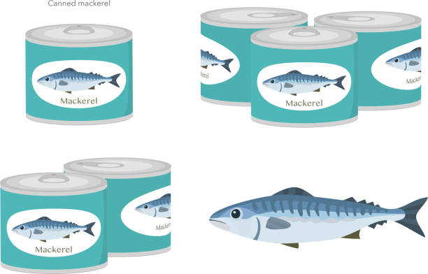 A set of vector illustrations of mackerel and mackerel canned. A set of vector illustrations of mackerel and mackerel canned. mackerel stock illustrations