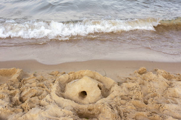 istock Sea surf, waves rolls on a sandy beach 1221531500