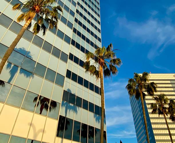 istock Offices row of palms 1221531552