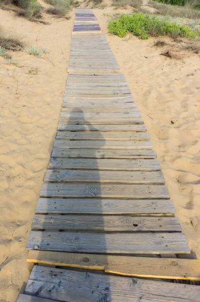 istock boardwalk leading to the beach on the sand 1221532233