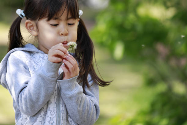 istock Japanese girl blowing dandelion seeds (5 years old) 1221532254