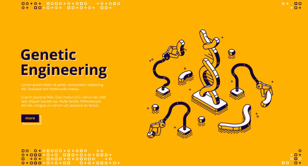 Vector banner of genetic engineering Genetic engineering banner. Scientific research of DNA, genome manipulation and mutation. Vector background with isometric illustration of robotic editing DNA helix. Biotechnology innovations gene editing stock illustrations