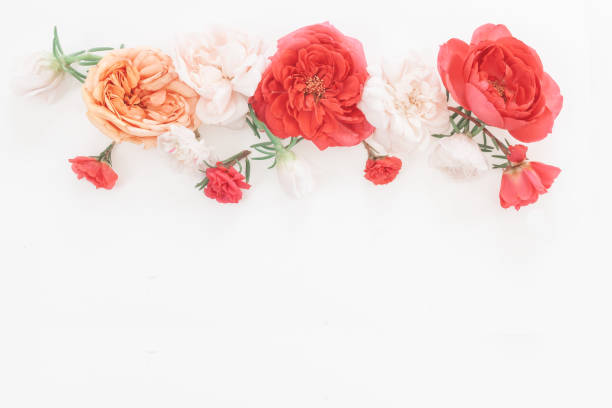 istock Frame from flower in pastel colors 1221532570