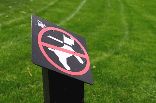 Dirty 'No dogs allowed' sign in front of the public lawn