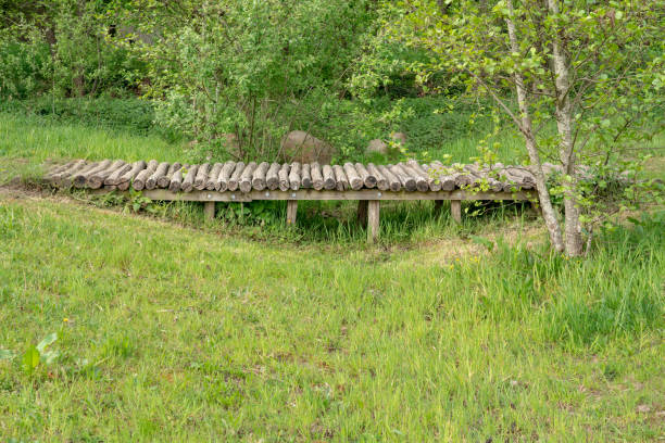 istock walkway over a wooden bridge 1221534573