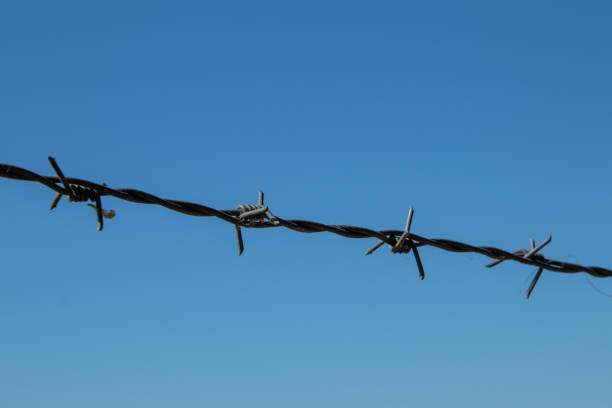 istock Tense barbed wire against a blue sky 1221535809