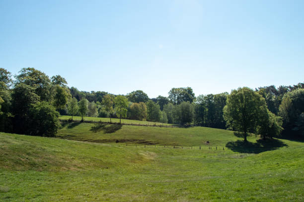 istock View over hilly landscape with meadows, trees and forests in spring 1221535849