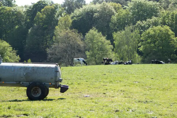 water trailer for cattles on a pasture, forest as background