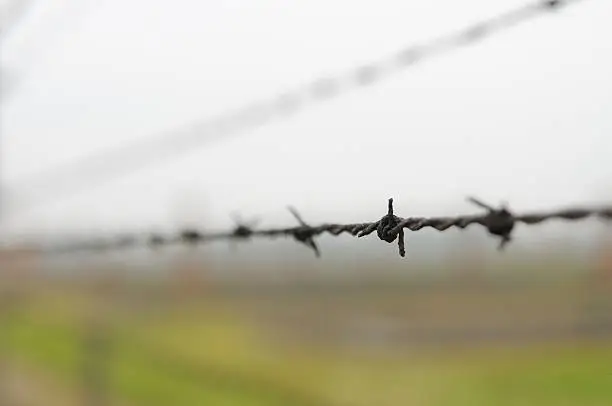 Spike of a barbed wire fence.