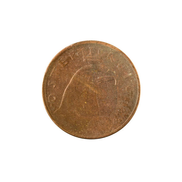 istock 100 austrian krone coin (1924) reverse isolated on white background 1221539144