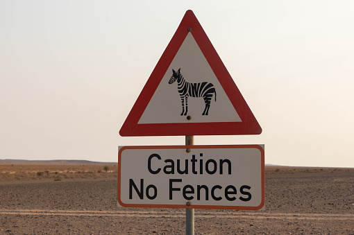 Attention, warning road sign for wild zebras at dusty African gravel road, a 4x4 offroad track in Namib Naukluft desert, Africa
