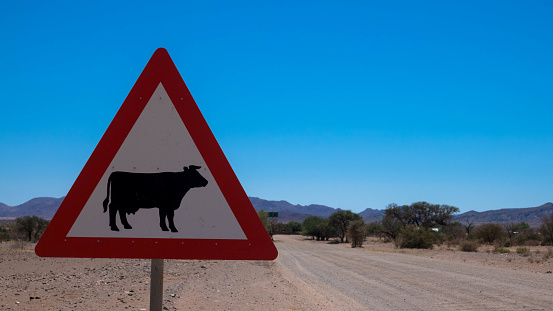 Traffic sign cattle Crossing, namibian desert africa