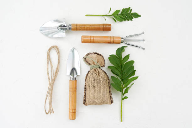 istock Gardening tools with green leaves on old white table. 1221543237