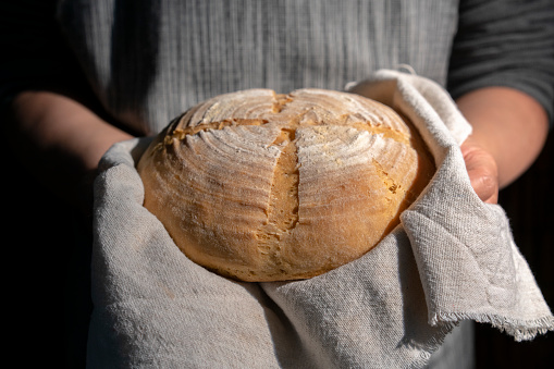 artisan whole wheat bread