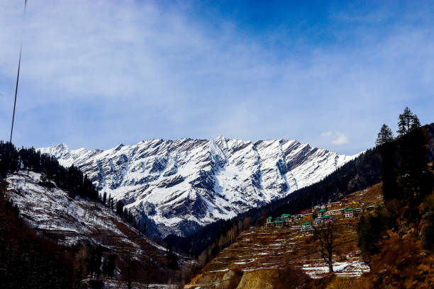 istock snow-covered mountain in the background with mountain covered with pine trees in the front. 1221544775