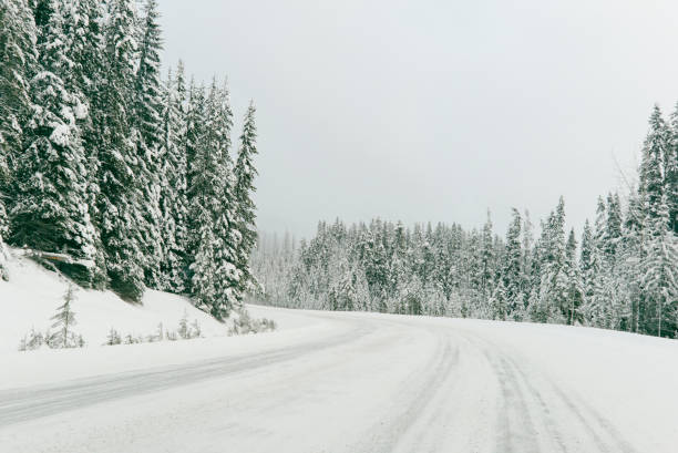 istock An empty road in a Winter Wonderland 1221546929