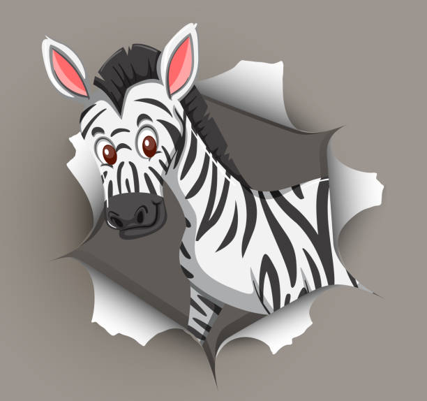 istock Cute zebra coming out of cracked wall 1221548606