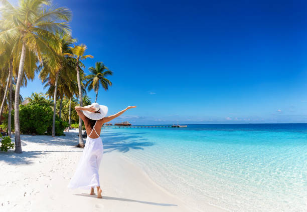 A woman with white hat walks down a tropical paradise beach with palm trees and turquoise sea A tourist woman with white hat walks down a tropical paradise beach with palm trees, fine sand, turquoise sea and copy space in the sky island vacation stock pictures, royalty-free photos & images