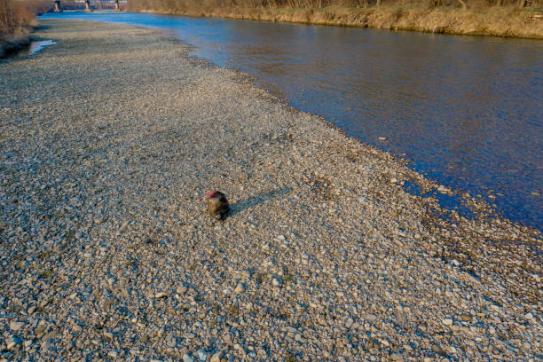 Garbage near the river. Environmental pollution shore.