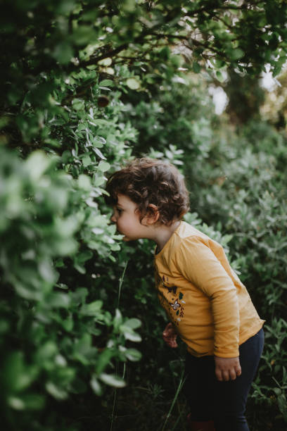 istock Rear View Of Boy Looking At Plants 1221553960