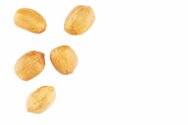 istock Dried raw peanuts isolated on white background with clipping path 1221555151
