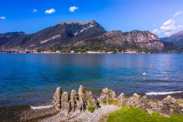 Photo of Lake Como and Alpine landscape from Bellagio with lonely swan - Lombardy, Italy