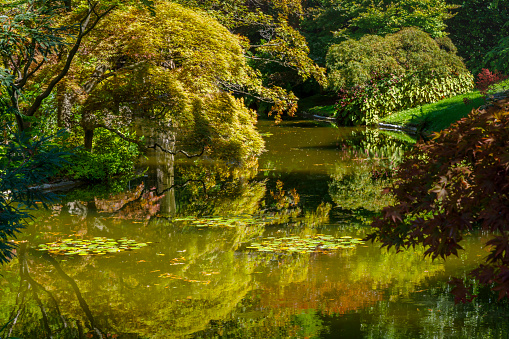 Pond reflection, Lake in idyllic garden, Bellagio relax landscape – Lake Como, Italy