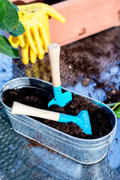 istock Home gardening equipment on a terrace table 1221560717