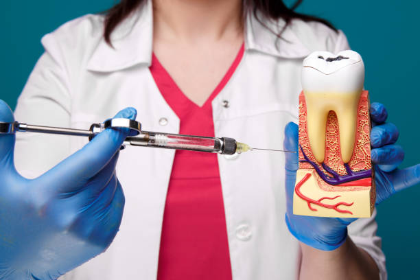 歯モデルで麻酔を行う方法を示す歯科医。 - denta ストックフォトと画像