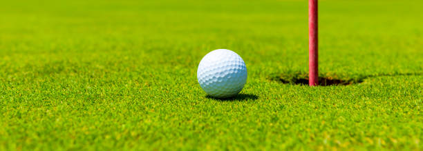 kurzer putt - golf green practicing sports training stock-fotos und bilder