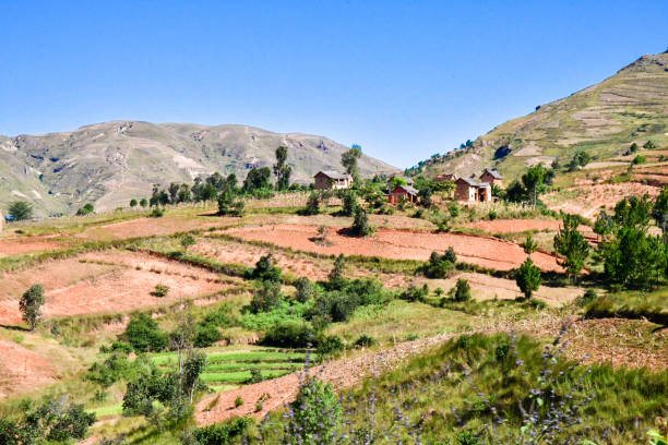 paisaje de carreteras de antananarivo a morondava en madagascar. los campos adosados son hermosos. - 5415 fotografías e imágenes de stock