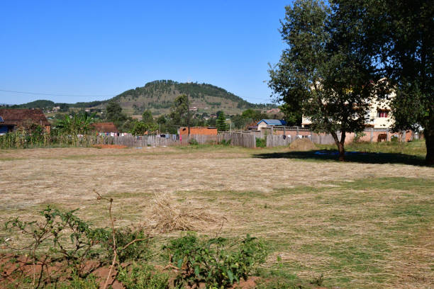 cenário rodoviário de antananarivo a morondava em madagascar. os campos de terraço são lindos. - 5440 - fotografias e filmes do acervo