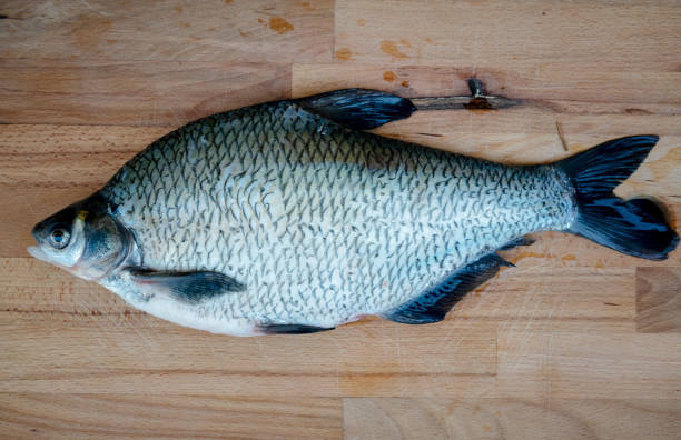 istock raw freshwater fish on cutting board, ready for cooking 1221564364