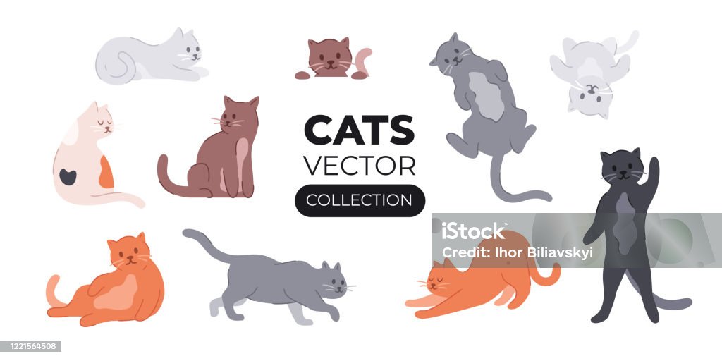 Vector Cats Cute Cat Set Isolated Funny Cartoon Animal Characters Different  Poses And Emotions Flat Eps10 Illustration Stock Illustration - Download  Image Now - iStock