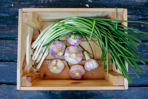 fresh garlic and scallions in crate