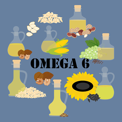 Omega 6 rich food on the blue background. Vector illustration